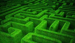 Navidating the Integration Maze: Challenges in Incorporating LLM's into Your Application