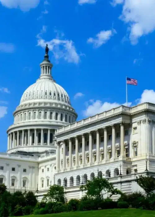 Government Services