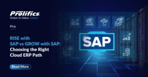 RISE vs GROW with SAP grow vs rise with sap cloud erp