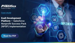 Salesforce NPSP implementation for nonprofit donor management platform