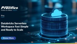 Databricks Serverless Workspaces Made Simple and Fast