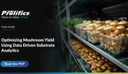 mushroom substrate analytics and yield optimization